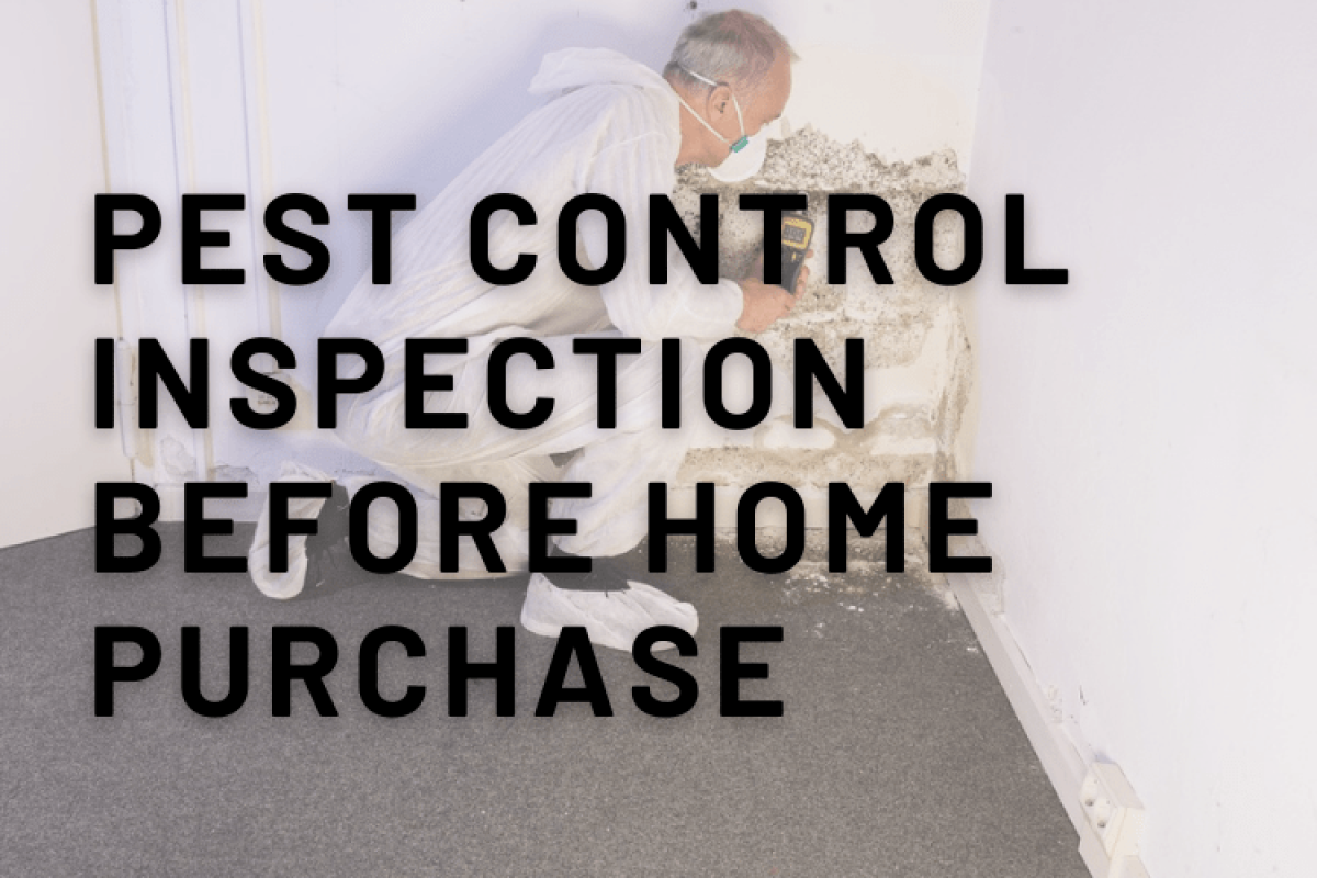 Get Pest Control Inspection Before Home
