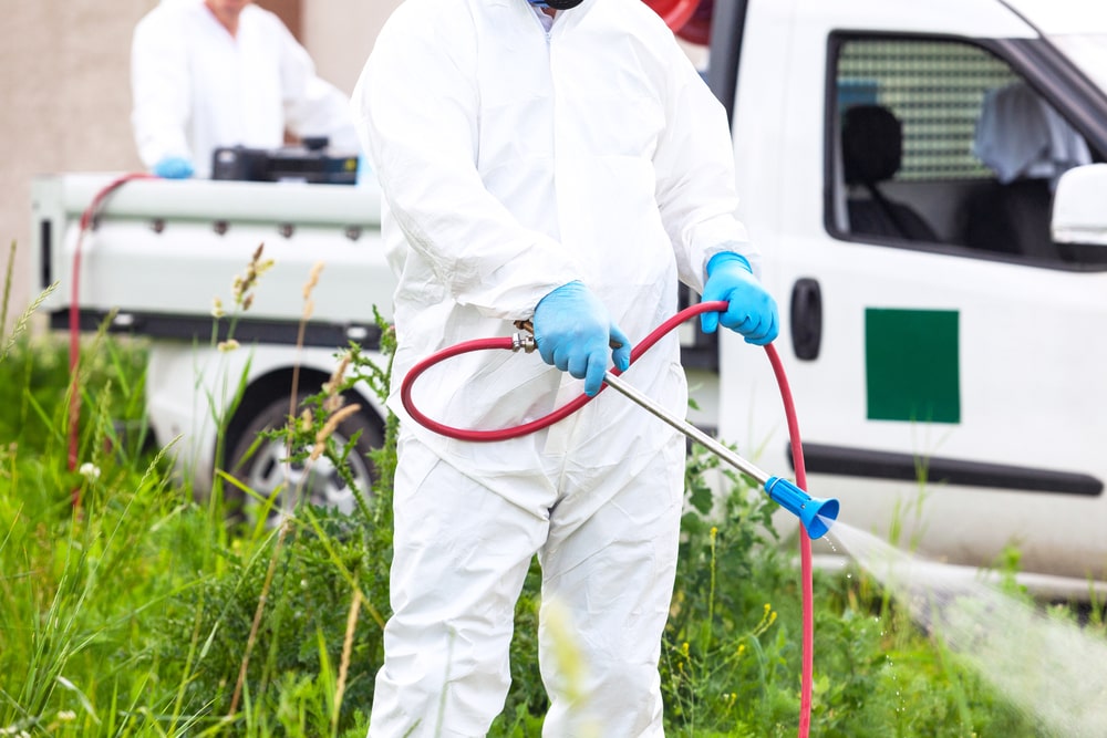 Importance of Commercial Pest Control-min